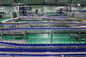 Bouteille en plastique d'ANIMAL FAMILIER buvant la chaîne de production de l'eau 220V minérale
